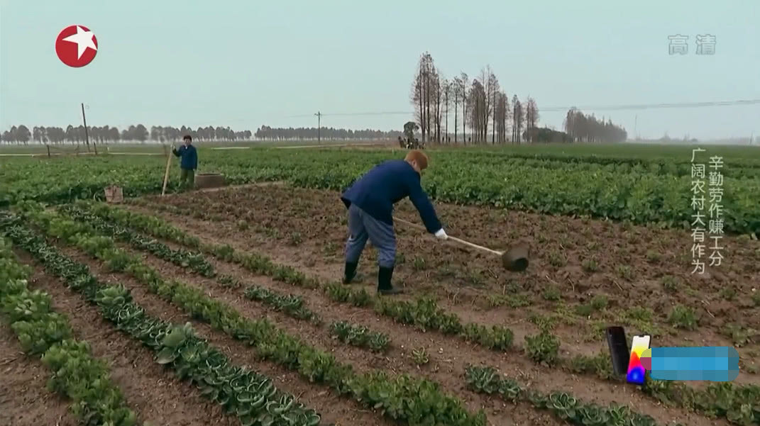 罗志祥被黄渤忽悠挑粪,罗志祥挑战鹅粪完整版