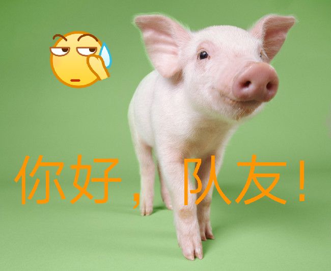 绝地求生一直被封号什么情况,绝地求生为什么10分钟之内就封号