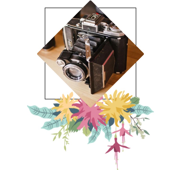 我是真的爱原版,我是真的爱体育