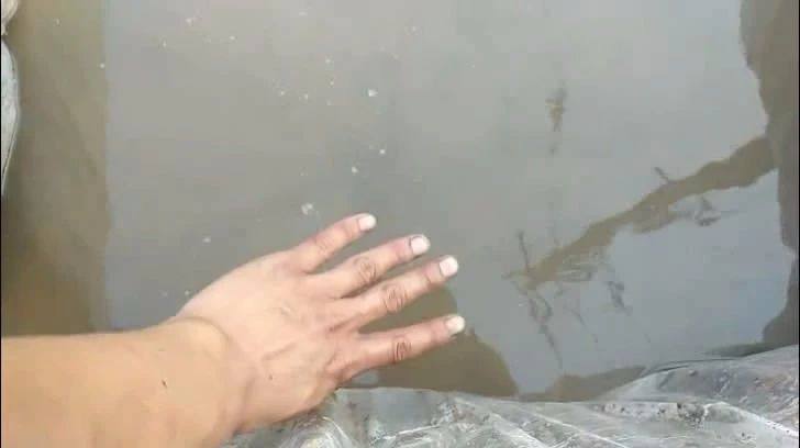 碗莲种植方法超简单的快来看看吧,种植碗莲的方法与技巧