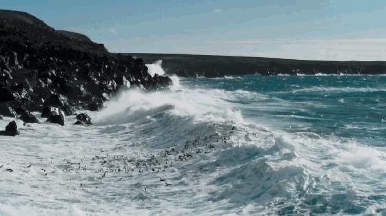 假期一定要给孩子看的20部纪录片,12部适合和孩子一起看的纪录片