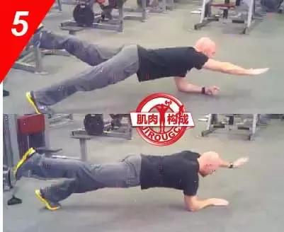 女生腹肌马甲线人鱼线,人鱼线和马甲线女图片