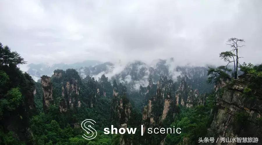 适合宅家一日游,适合宅在家旅游的景点