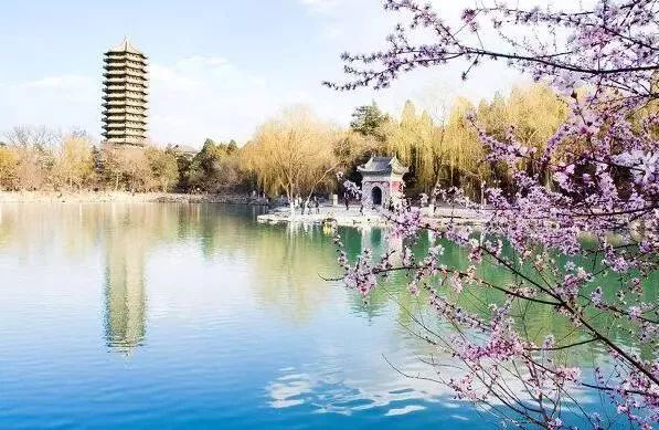 北大生日快乐 (北大生日会)