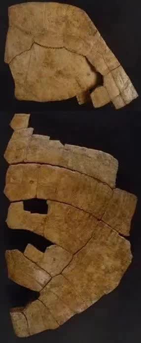 北大生日快乐 (北大生日会)