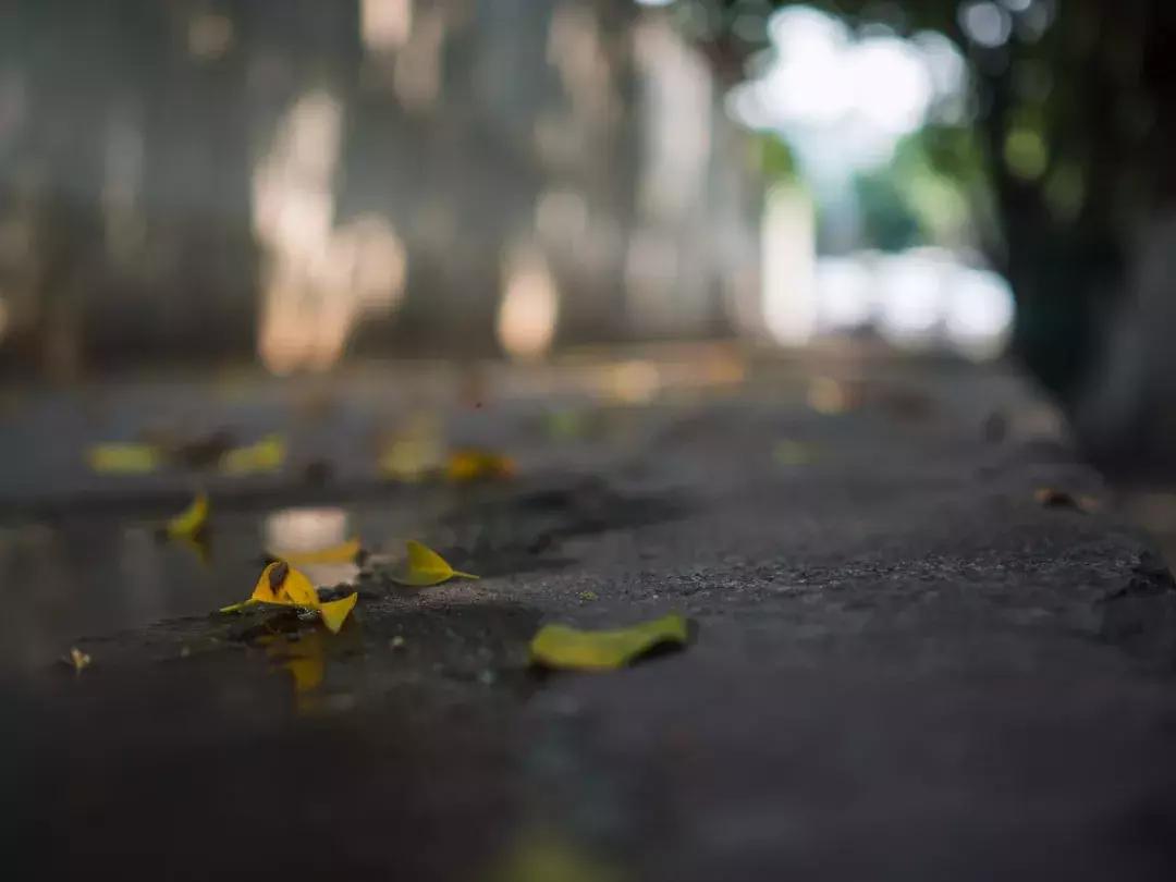 奥林巴斯epl9什么时候发布的,用颜值说话奥林巴斯e-pl9评测