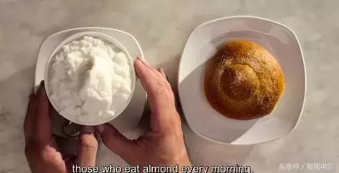 主厨的餐桌第四季中英字幕,主厨的餐桌第四季节目播放