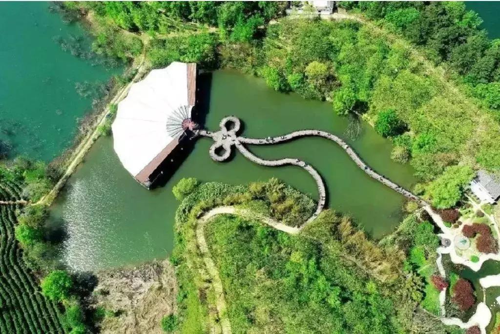 河南各市五一旅游收入排名 (近五年河南省五一旅游人次统计)