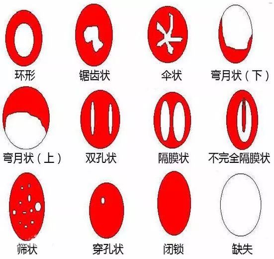 卫生棉条讲解视频,卫生棉条使用说明有哪些