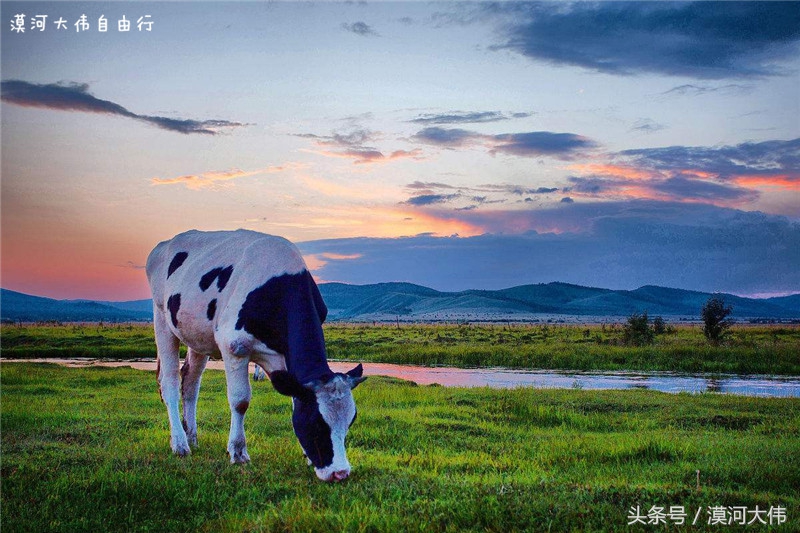 人生那么长停一下又何妨电子书,人生那么长停下又何妨