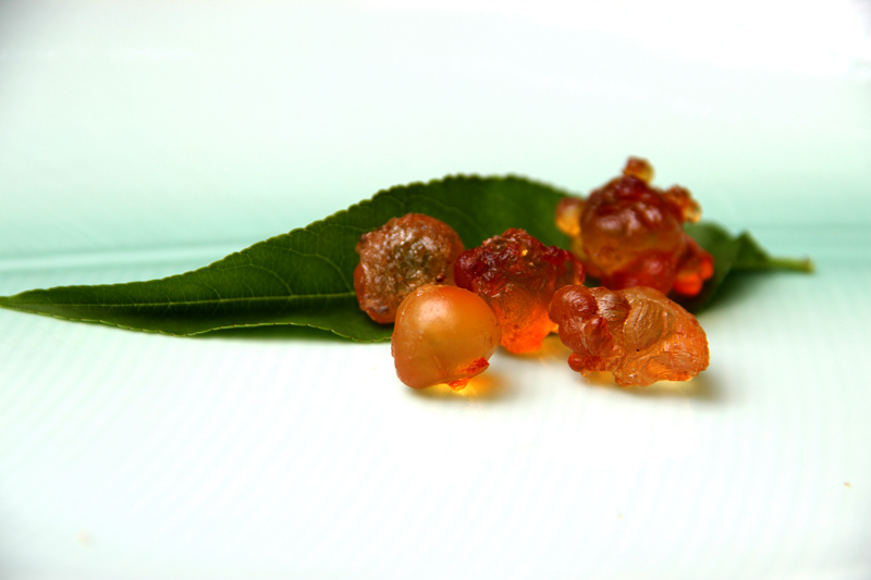 桃胶甜品做法视频教程,美食主播做甜品过程