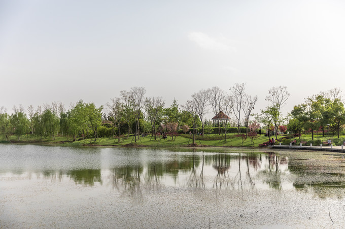 花博园滁州风景,滁州花博园公园美景