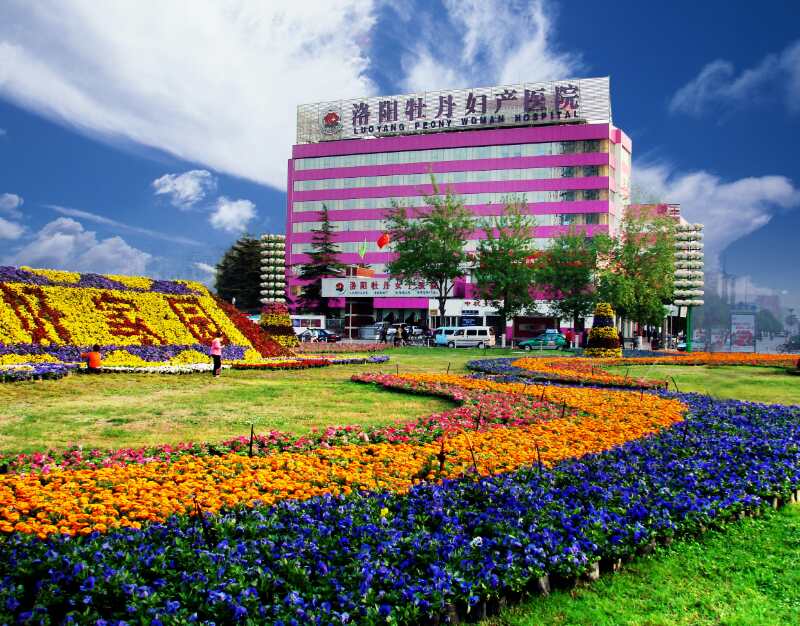 洛阳牡丹妇产医院视频,洛阳牡丹妇产医院豪华单人间