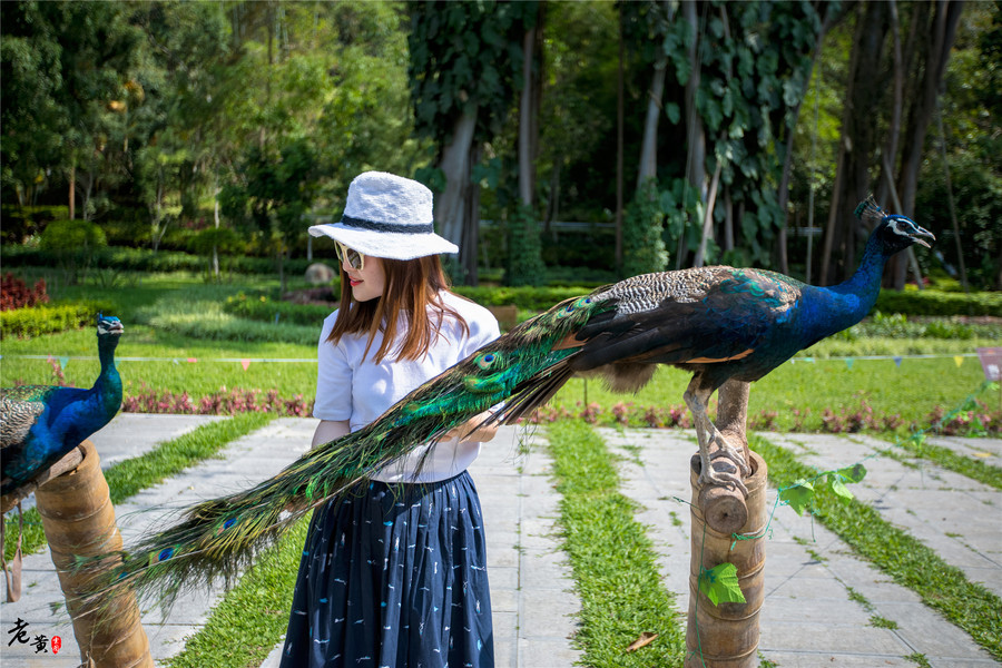 打洛国门景区,云南打洛风景区