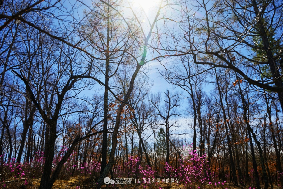 朴树冷门却很好听的歌,朴树适合西藏的歌