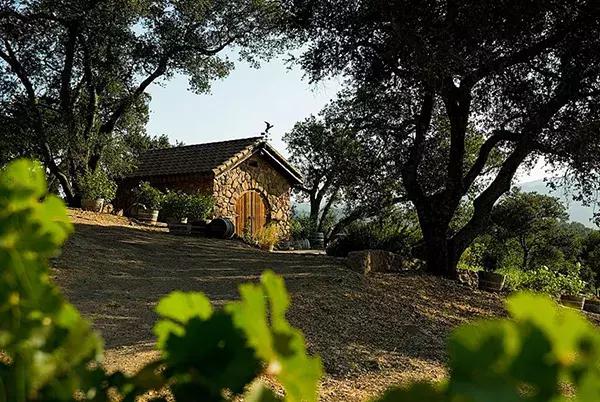 美国十大葡萄酒排行榜最新,美国纳帕10款高性价比葡萄酒推荐