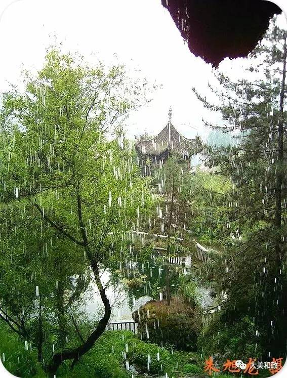 绿色和政春深夏浅风光好山美花浓待君来