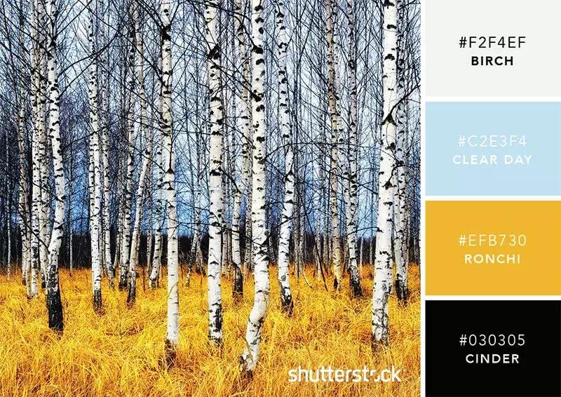 你知道彩虹是什么颜色吗,你知道彩虹的颜色吗英语翻译