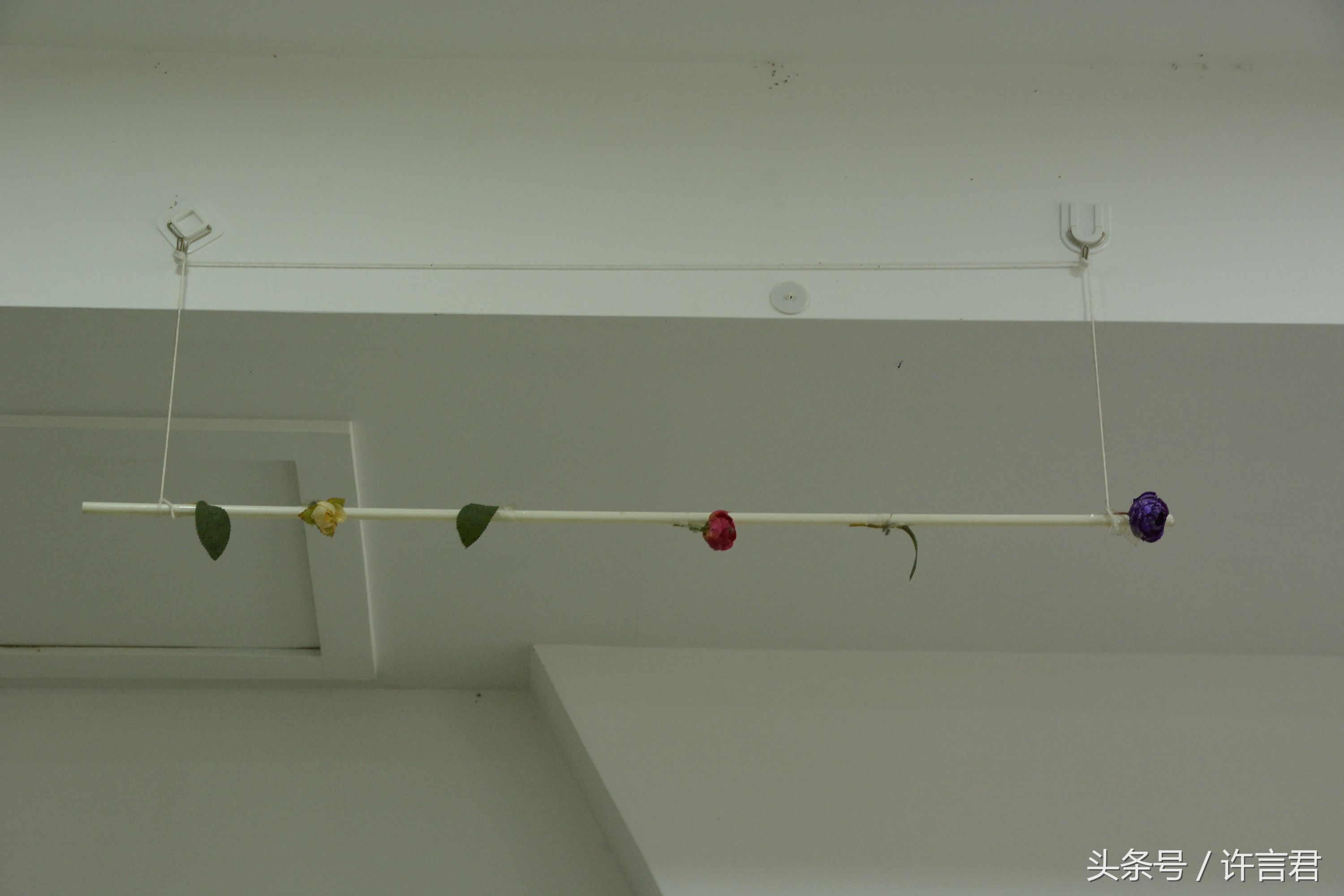 燕子在店铺内安家，老板和员工一起给燕子帮忙