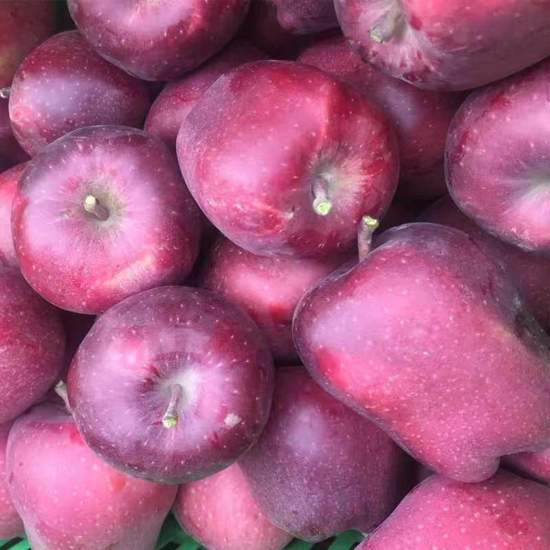 花牛苹果是什么样的,花牛苹果价格一览表