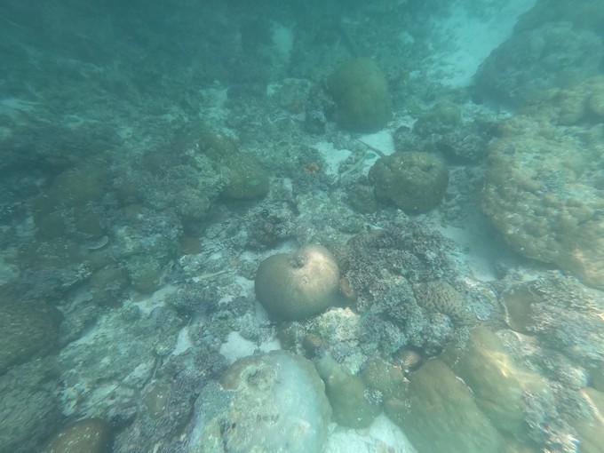 帕劳的海景风光给人美的享受,帕劳的海洋和沙滩风景图片