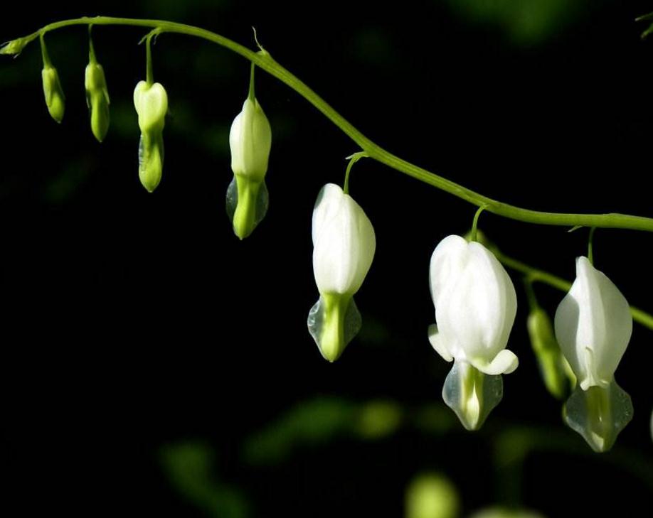 做人要有随遇而安的心态,做人进退有度随遇而安