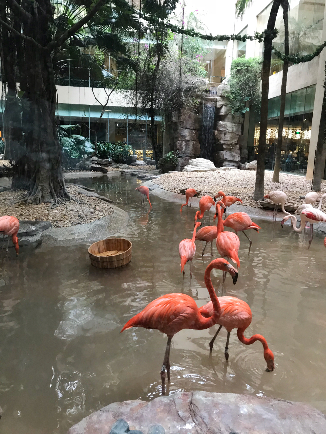 长隆酒店亲子游攻略,广州长隆酒店早餐攻略