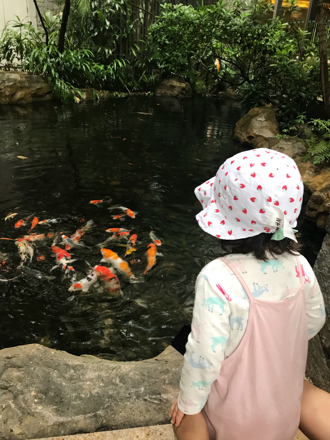 广州长隆熊猫酒店套票攻略,番禺长隆野生动物酒店住宿攻略