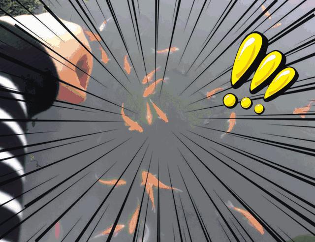 谢谢你二年级,谢谢你雷州话