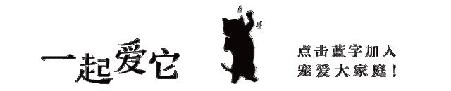 冬季狗狗护理注意事项