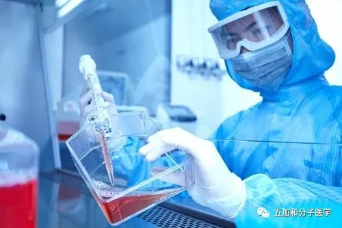 一文带你看懂拉曼光谱,基因治疗详细讲解