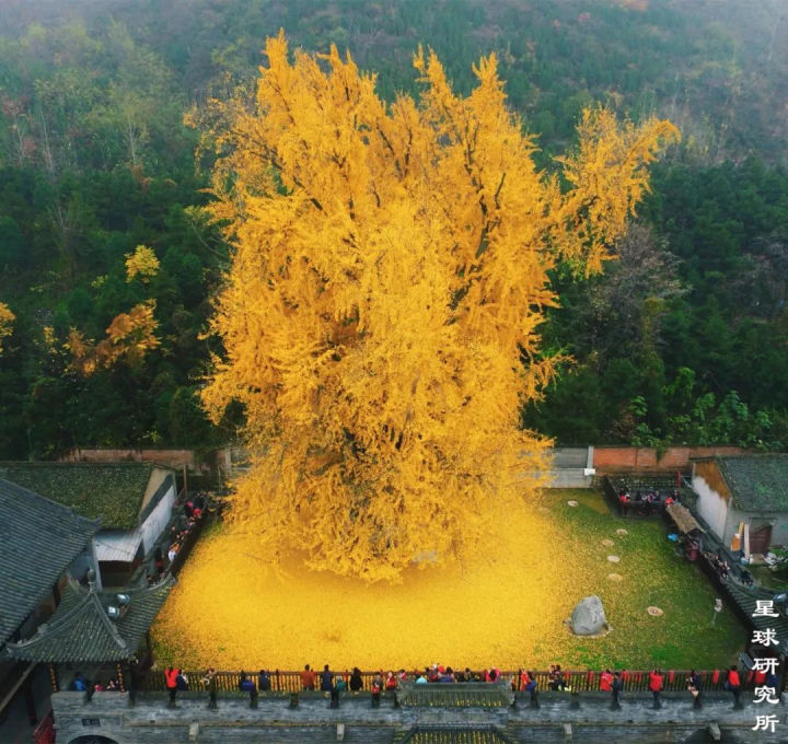 什么是西安？这是我见过最好的答案！