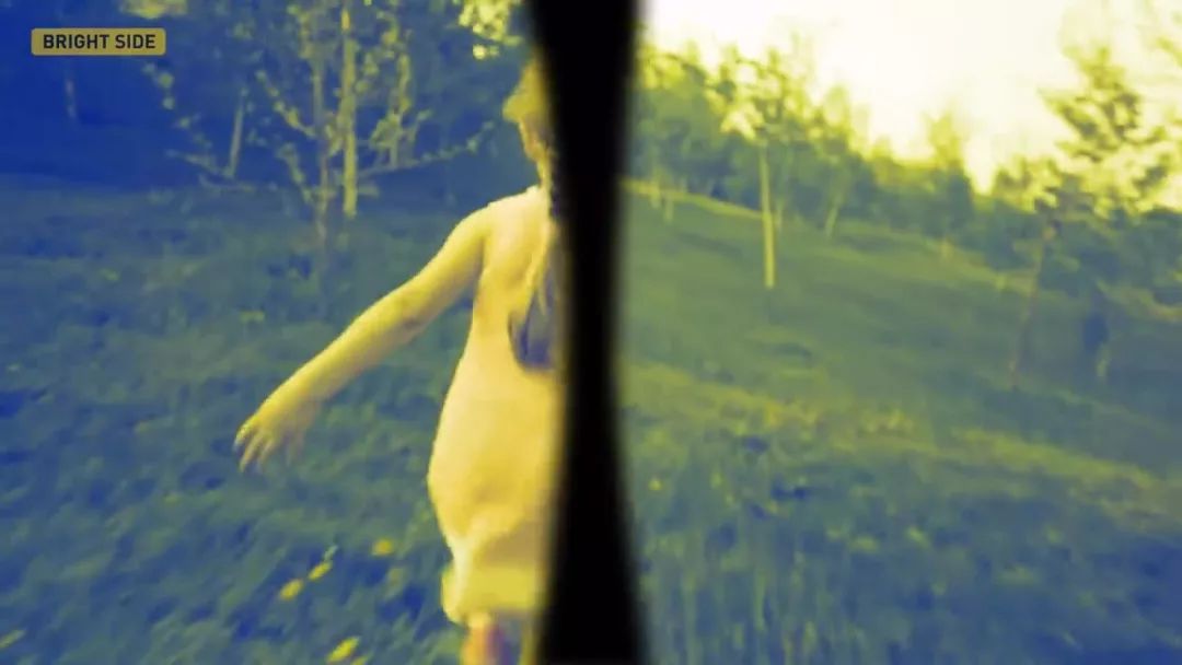 动物眼里的世界长什么样子,动物眼里的世界都是什么颜色