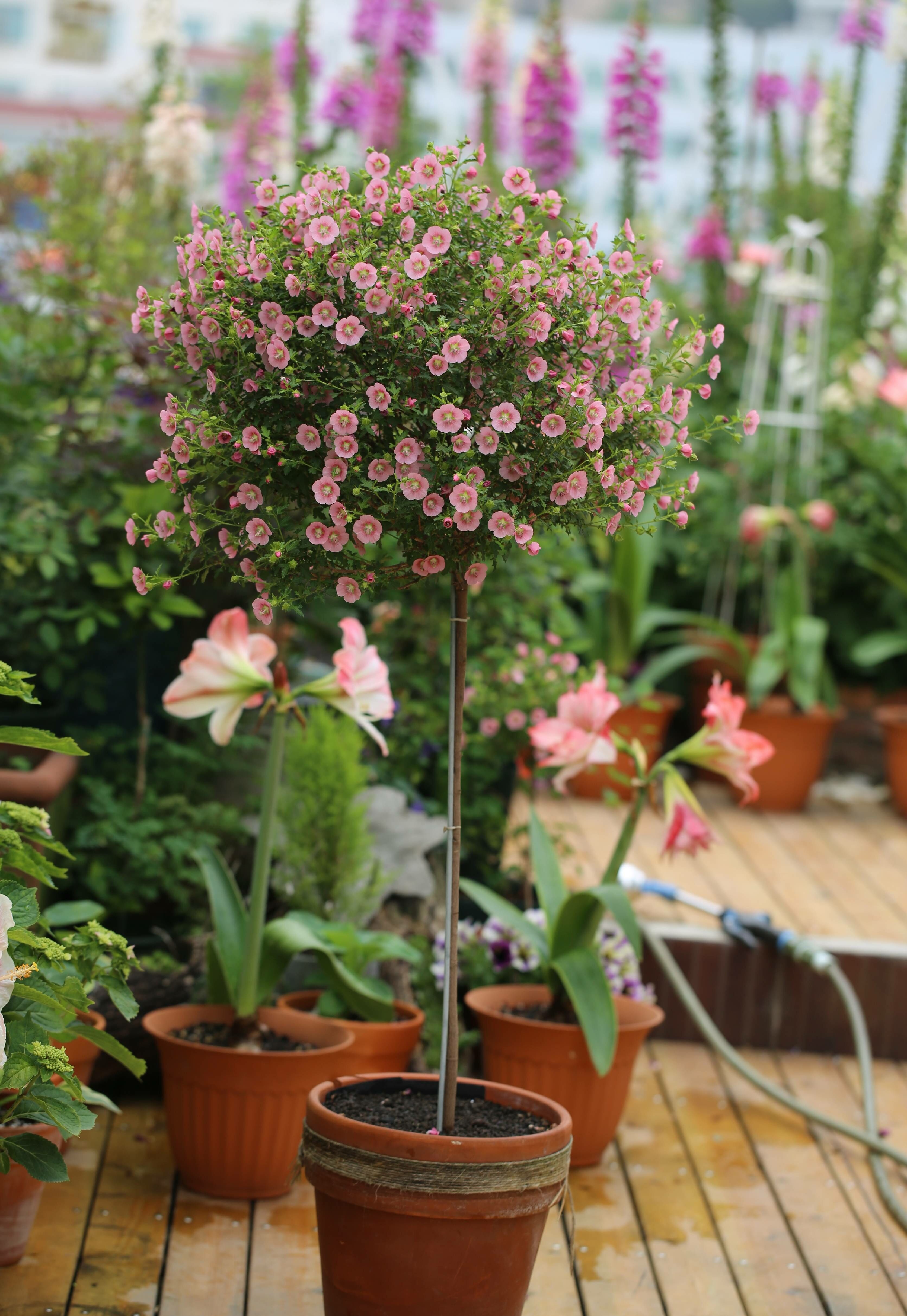 确认过眼神是从小帅到大的人,确认过眼神是个小眼睛