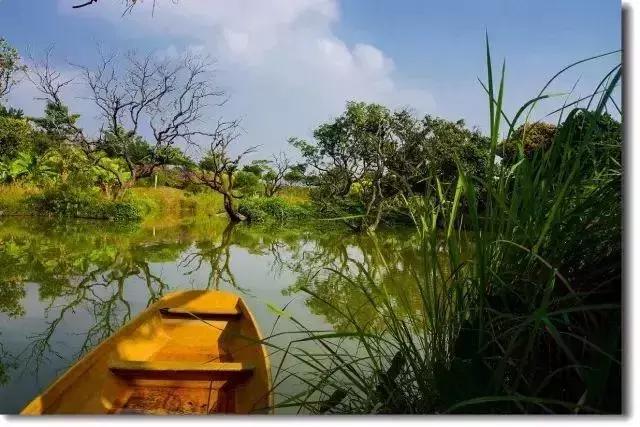 广州人少景美的古村落,广州好玩适合拍照的网红景点