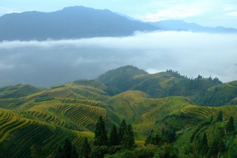 龙脊梯田有什么风景,龙脊梯田美不胜收天然氧吧