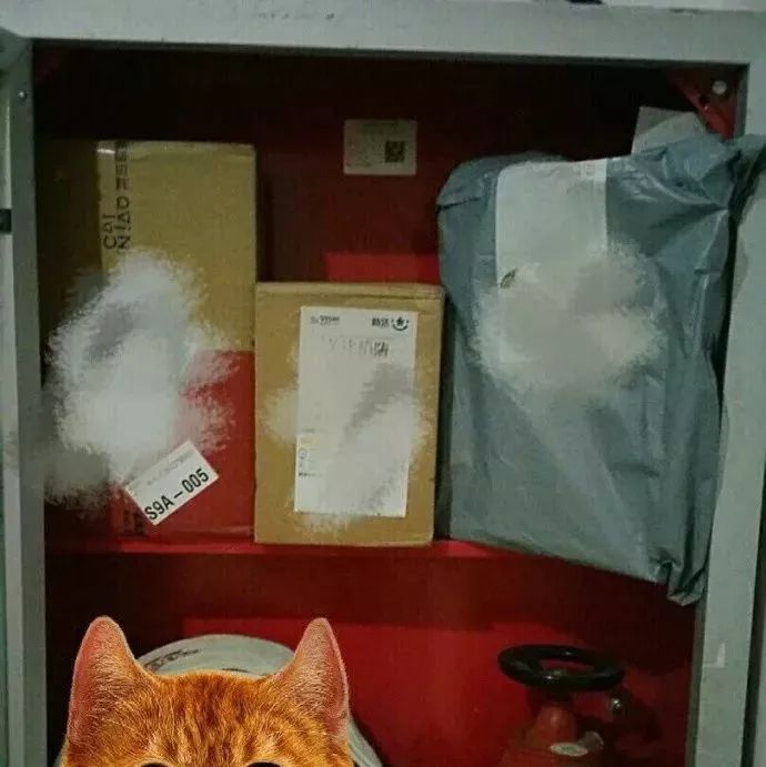 快递到了，家里没人，你是不是总让快递小哥放这里！