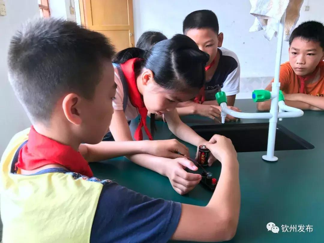 网眼看视界,网眼看钦南