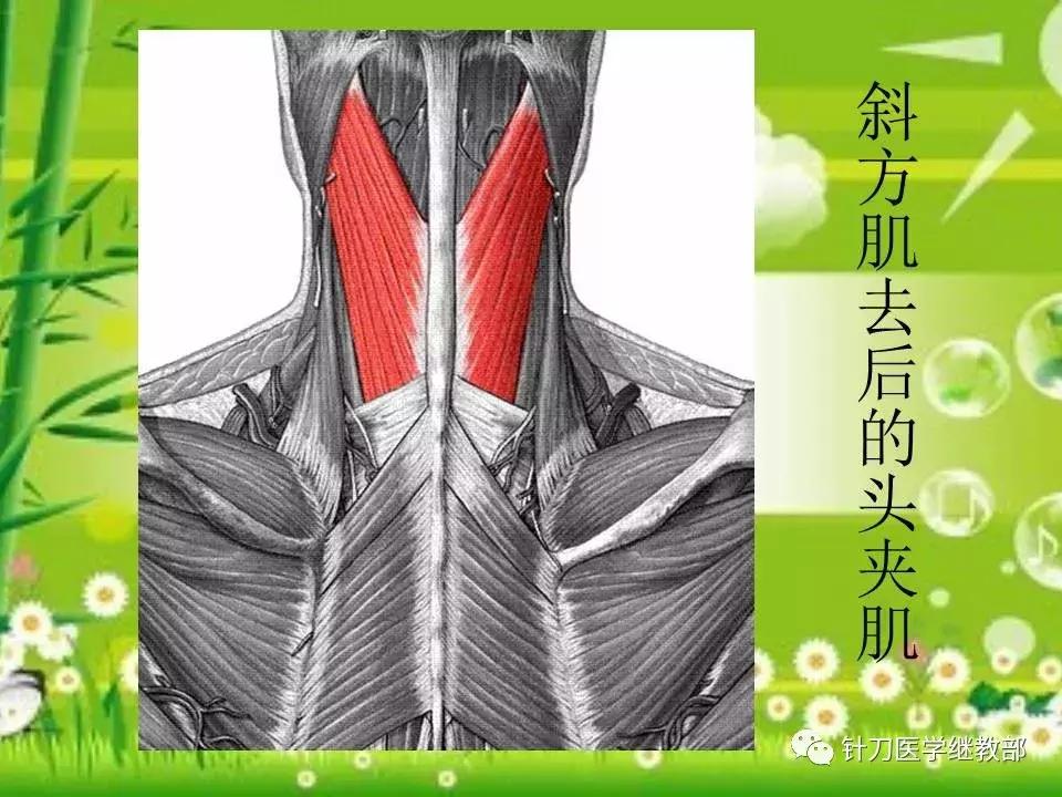 颈椎肌肉损伤用小针刀治疗,针刀治疗颈椎导致神经损伤