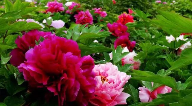 西安小众旅游,西安小众避暑胜地