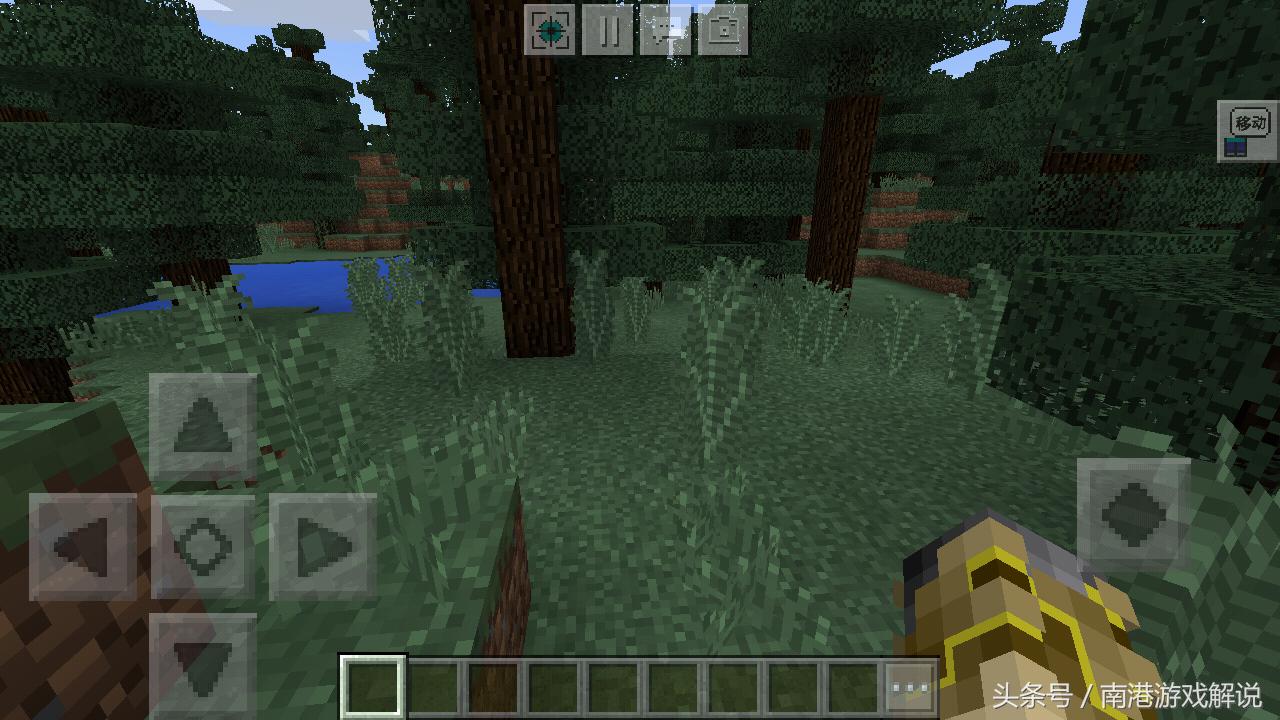 我的世界蘑菇岛小岛种子,我的世界雨林里的巨型树种子