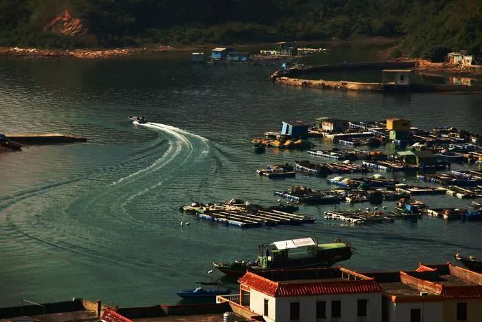 深圳比较好的渔村,深圳海边渔村哪里好