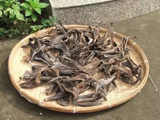 香蕉吃完后香蕉皮能干啥,吃完的香蕉皮不要扔