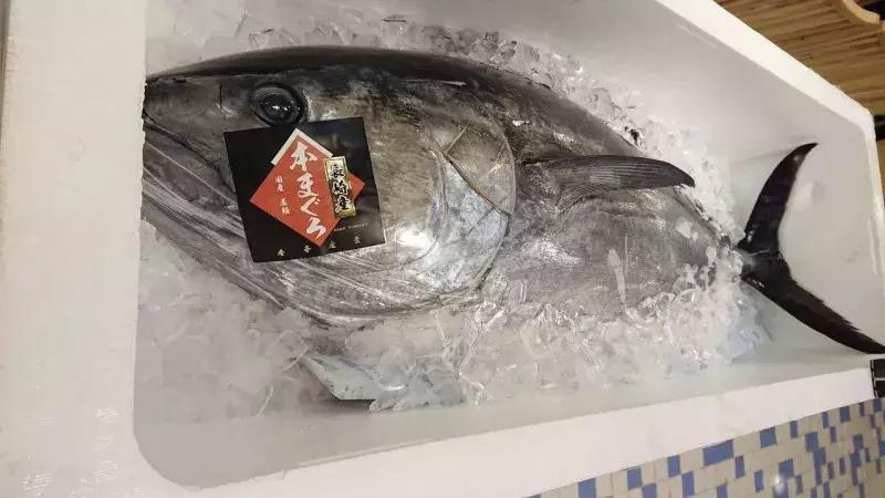 上海米其林一星日料,东京日料米其林一星