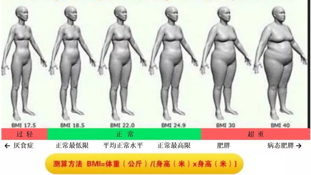 瘦身药奥利司他胶囊有反作用吗,排油减脂的药是骗局吗