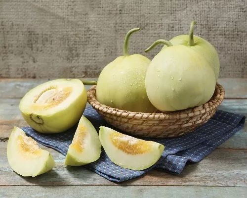 抗重茬薄皮甜瓜品种,甜瓜抗重茬