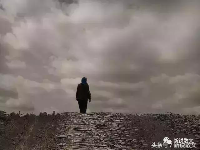 飘摇的风筝,如果我是一只飘摇不定的风筝