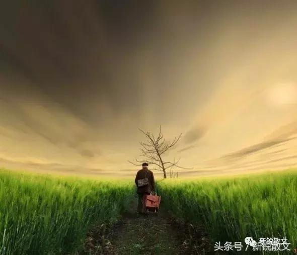 飘摇的风筝,如果我是一只飘摇不定的风筝