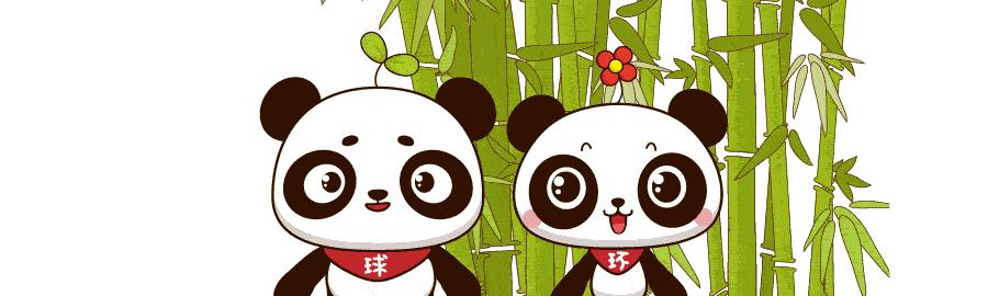 卢卡库更换国籍,卢卡库还敢回国吗