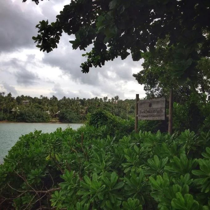 衣冠不整恕不招待厨师,衣冠不整不让进的饭店